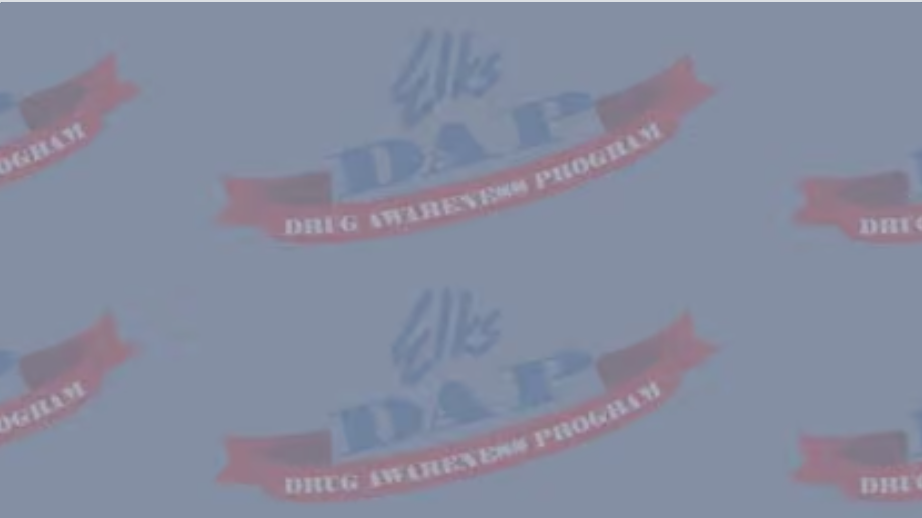 Tampa Elks Drug Awareness & Youth Activities